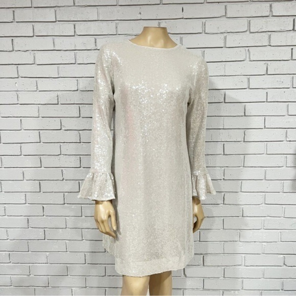 J.Crew Winter Garden Sequin Dress Silver Holiday Glam Statement Sz 8 NWT